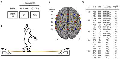 Task-Related Hemodynamic Response Alterations During Slacklining: An fNIRS Study in Advanced Slackliners